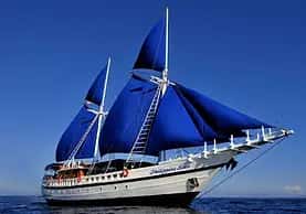 Scubaxpeditions LLC