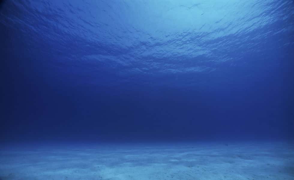 SoCo Scuba