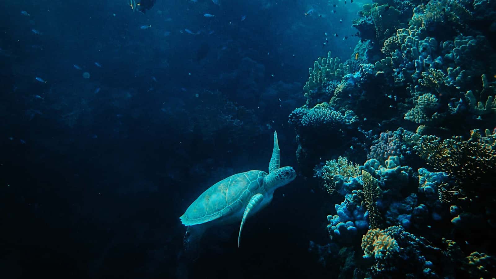 Sea Terra Adventures — photo 4
