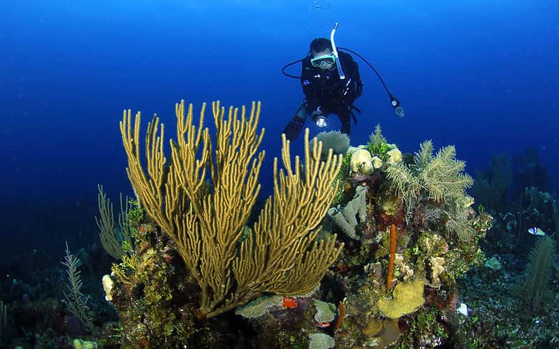 Sea Terra Adventures
