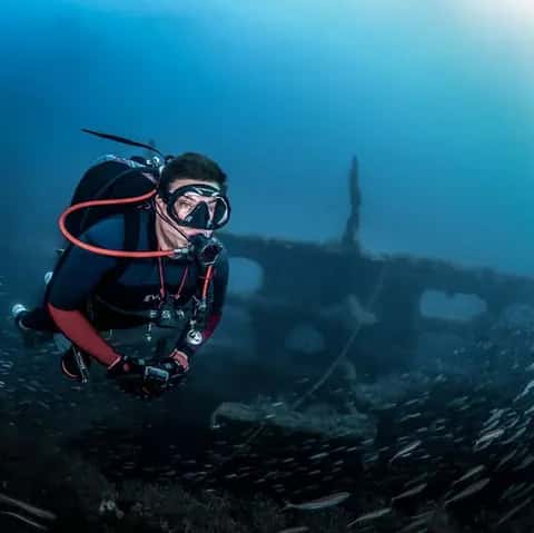 Instigator Spearfishing, Fishing & Diving Charters