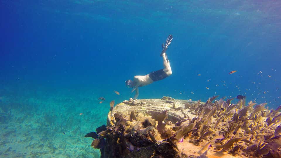 Tortuga Dive Center