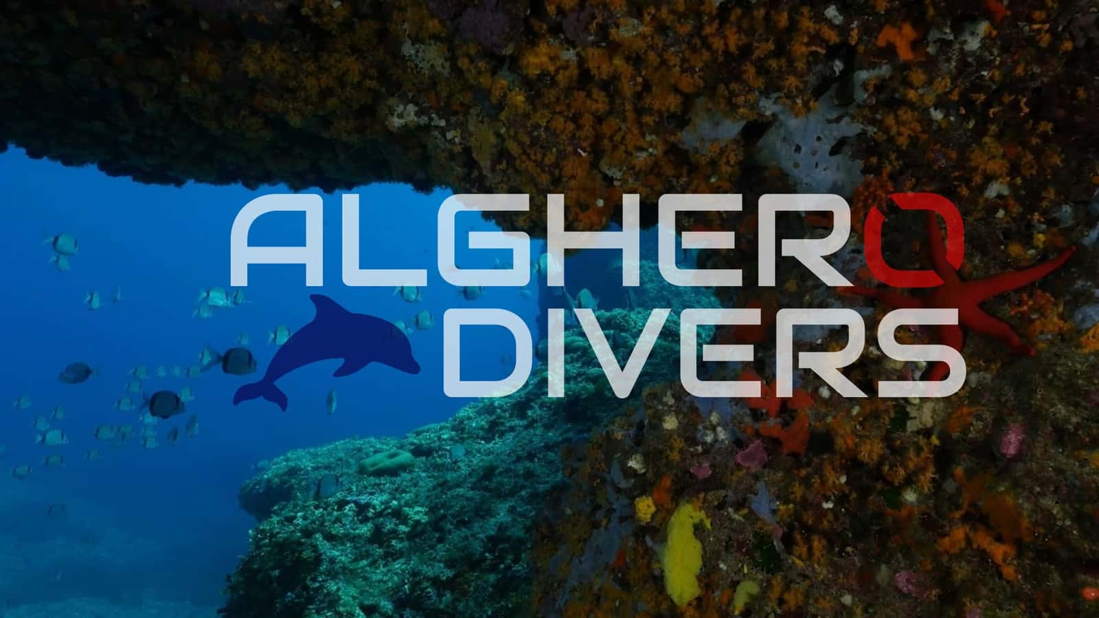 Alghero Divers