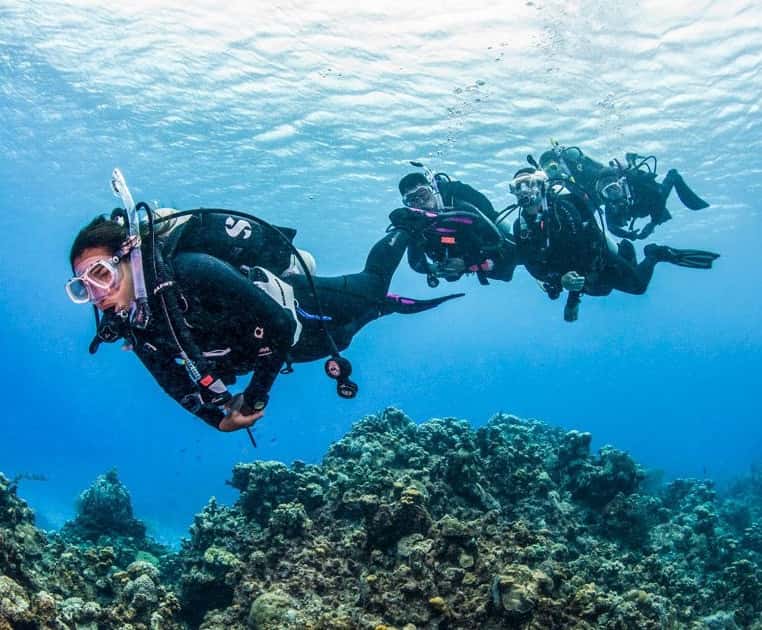 Alghero Divers — photo 3