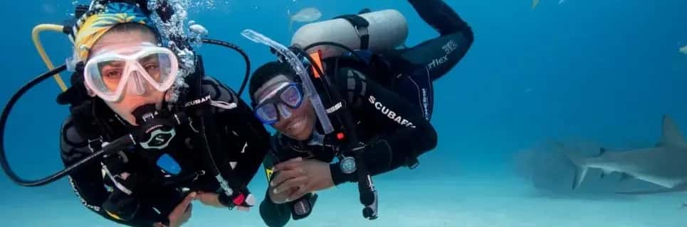 The Dive Trainer
