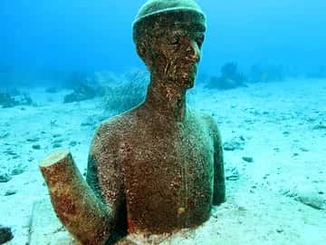 Tropicalsub Diving — photo 2