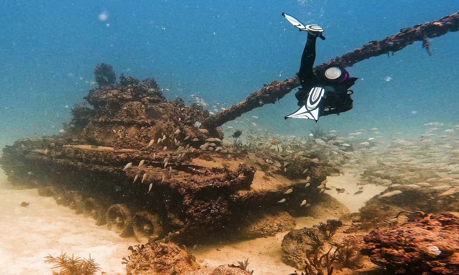 Luxy Diver