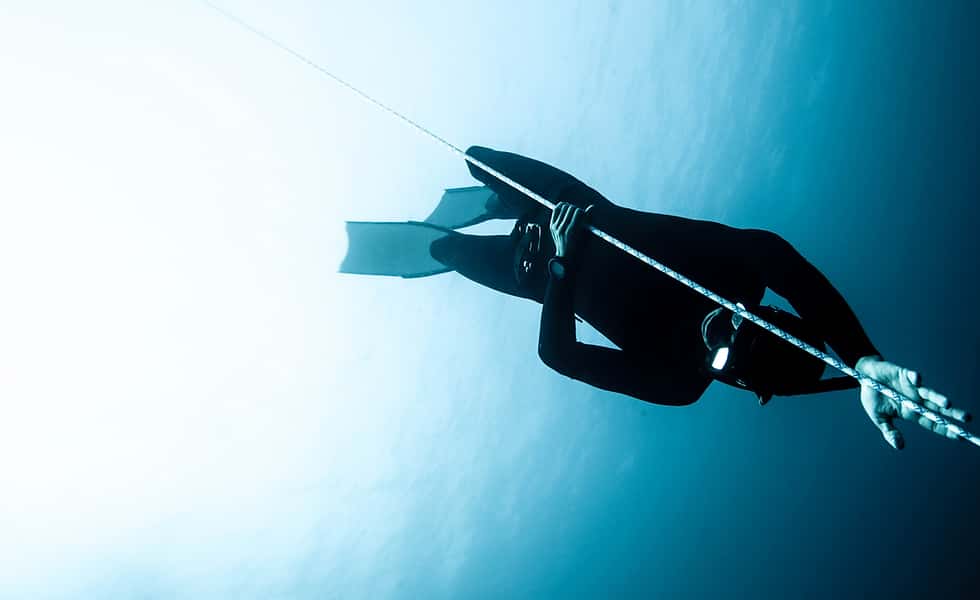 Freedive Portofino — photo 2