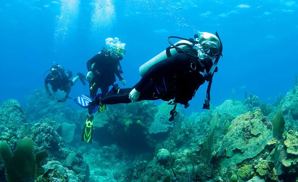 Mexicandiver Cozumel