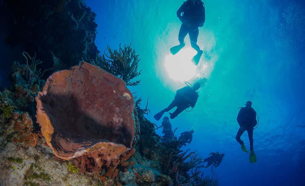 Divepoint Scuba & Adventure Center
