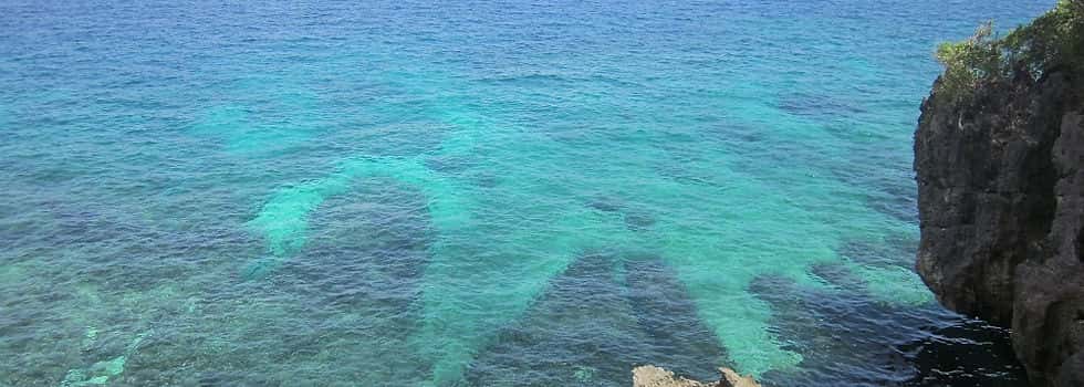 Dive Trip Adventures