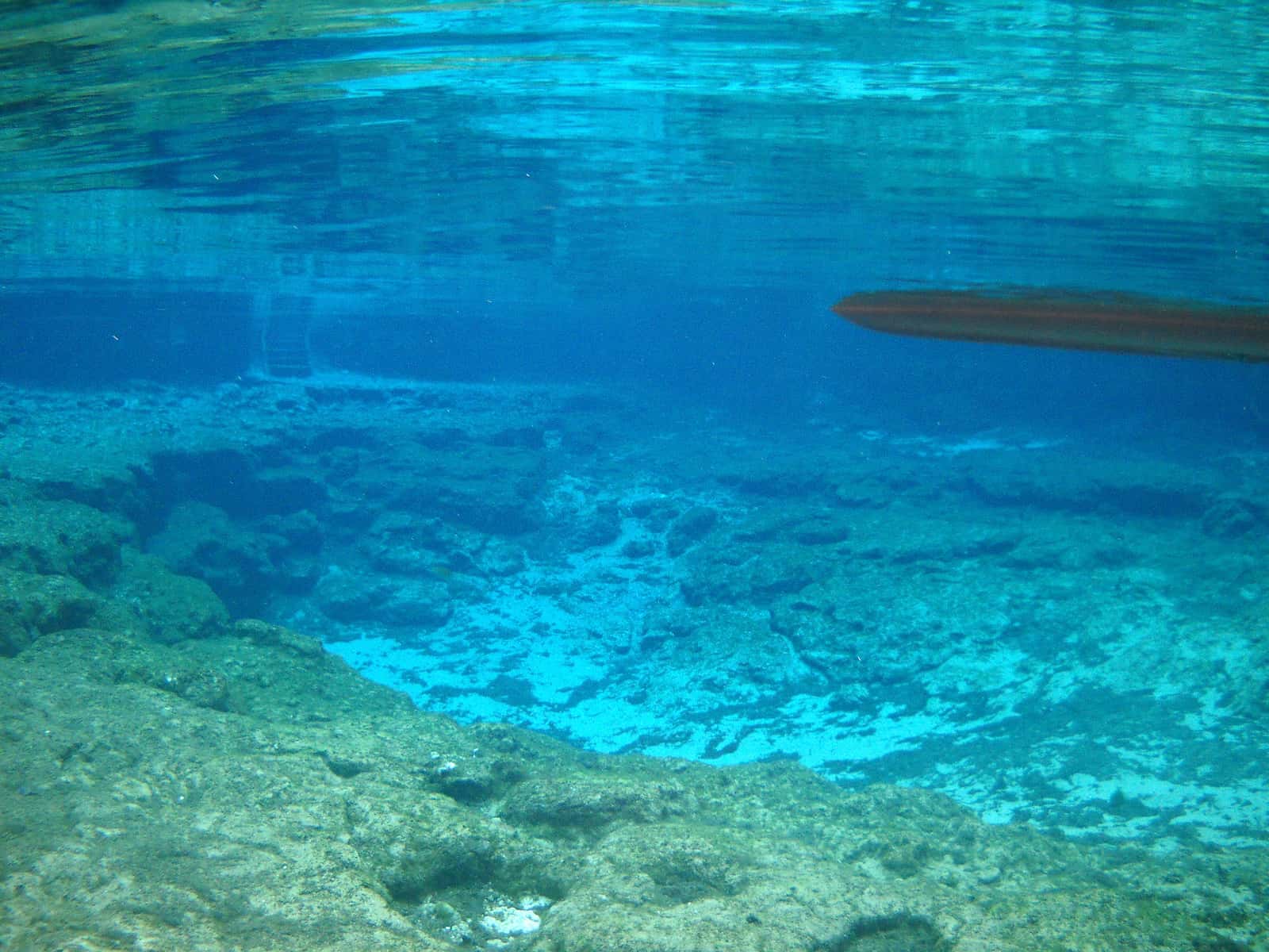 Livingwater Conservation & Scuba Inc.