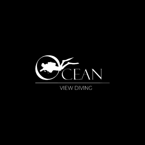 Ocean View Diving — photo 2