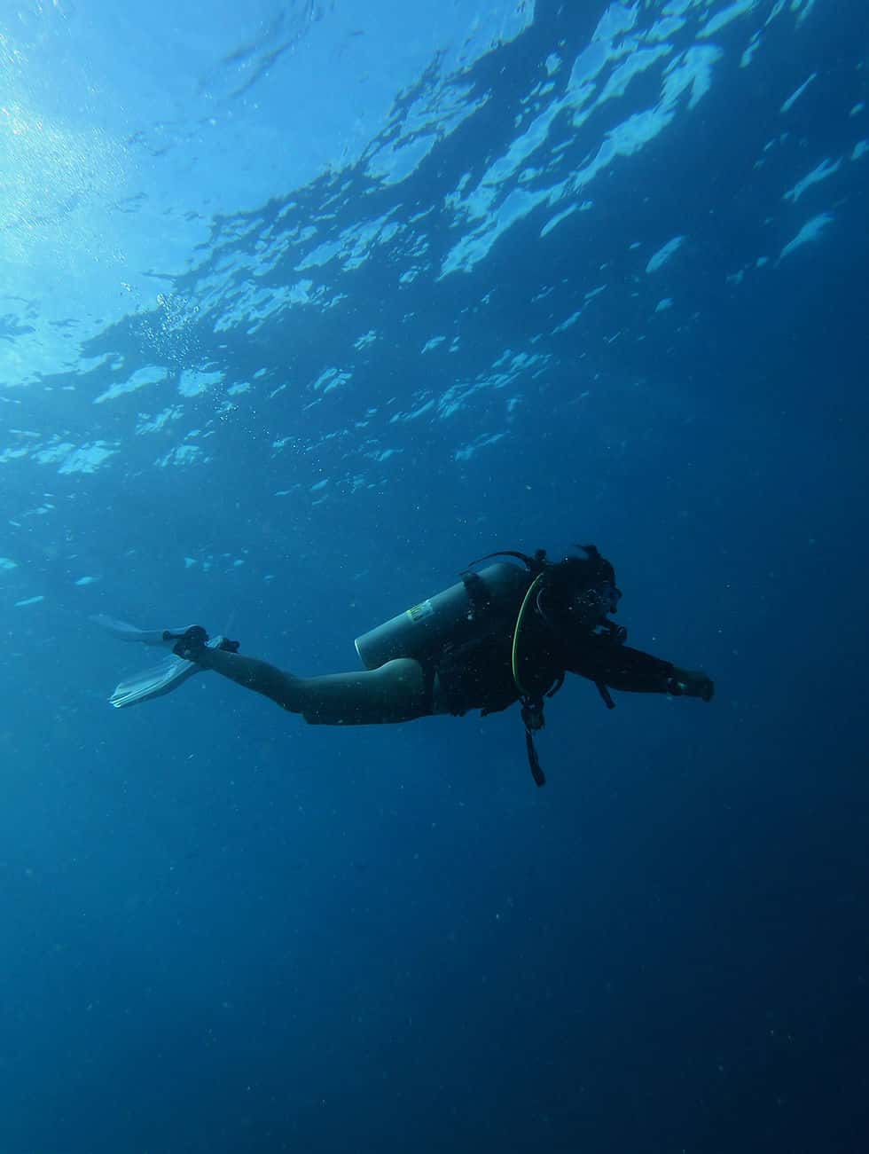 Deep Blue Dive Therapy Inc
