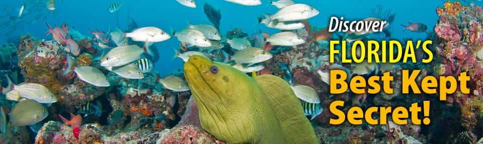 Walker's Dive Charters