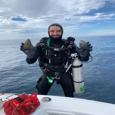 WB Diving
