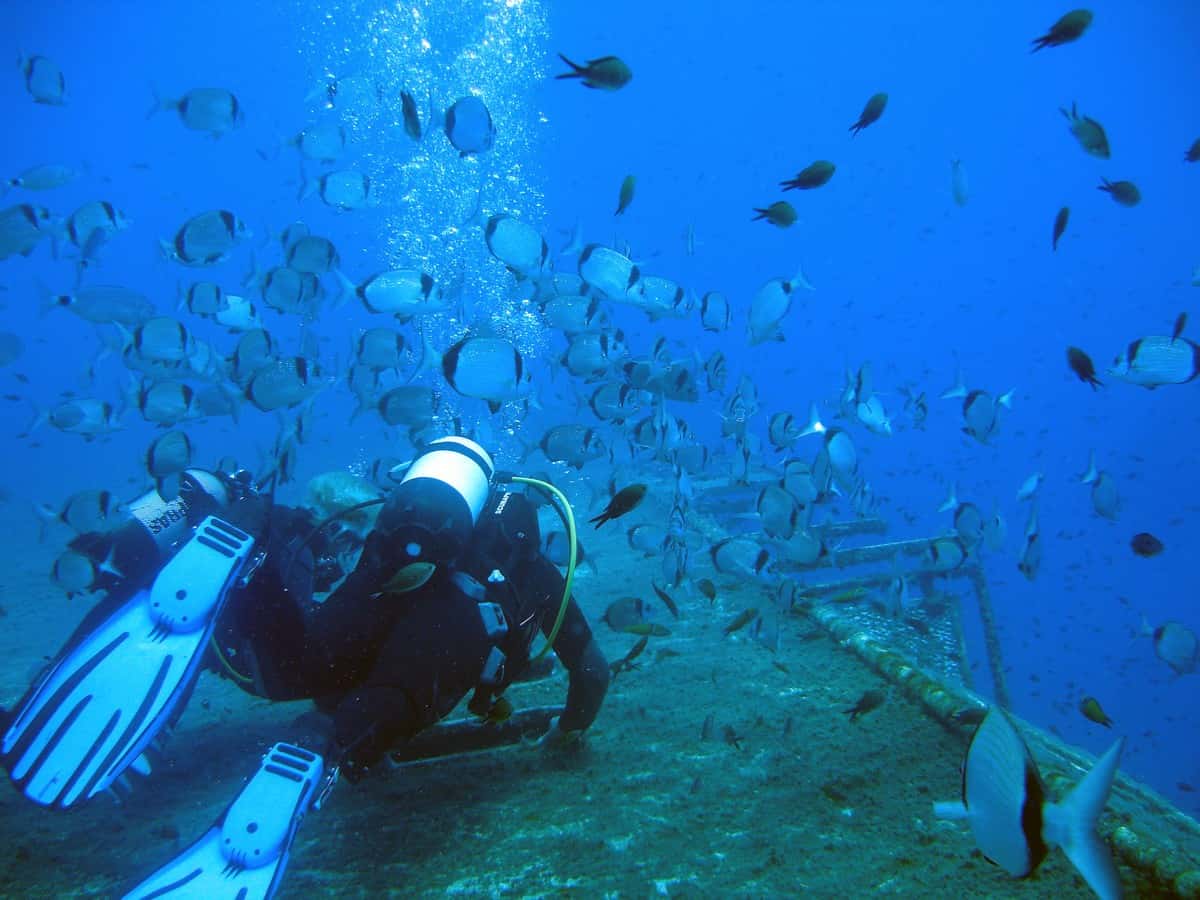 ABC Dive — photo 2