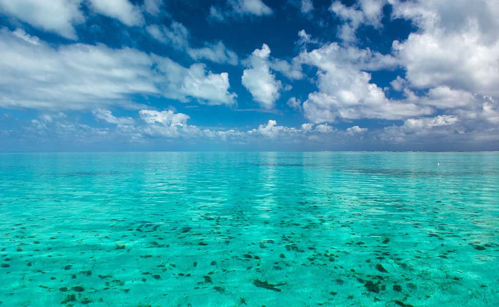 Belize Diving Adventures
