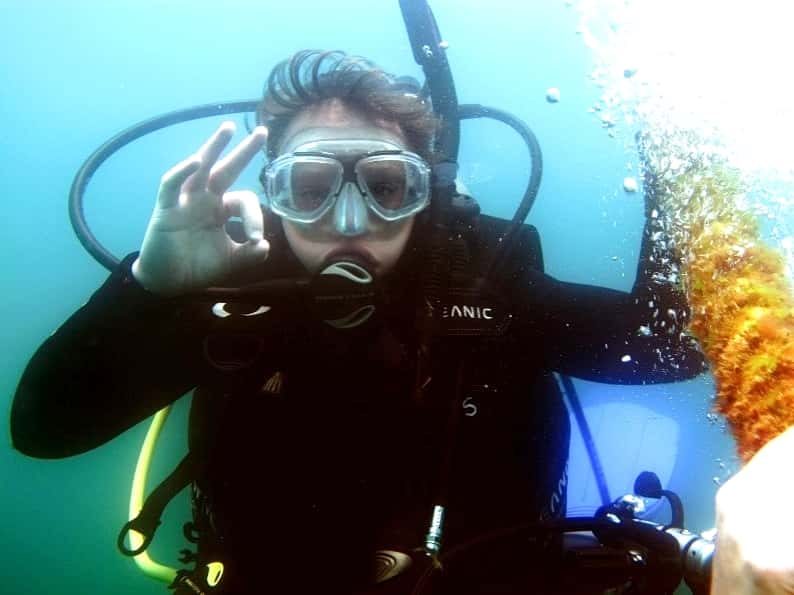 BuceaHoy