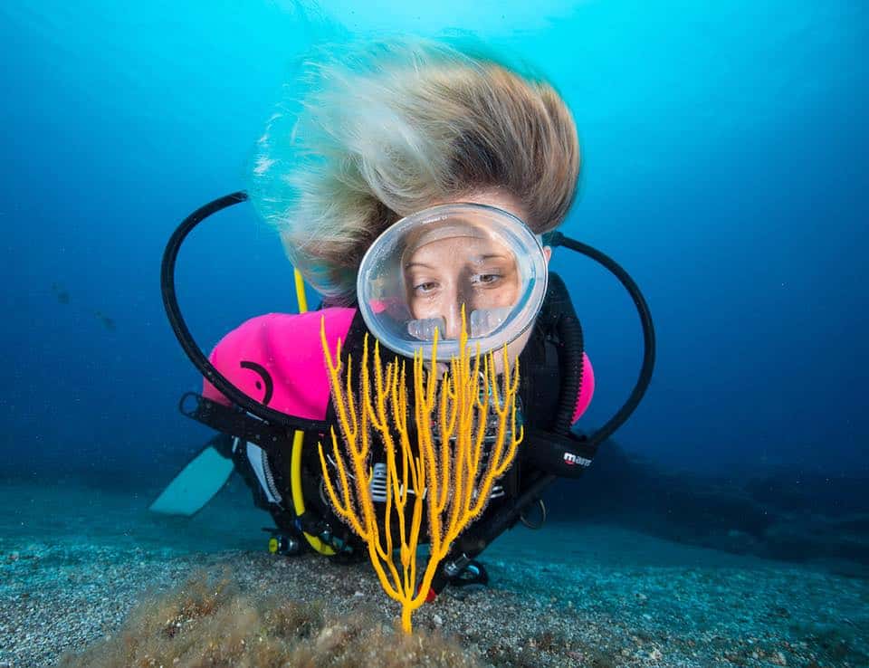 Buceo Norte — photo 5
