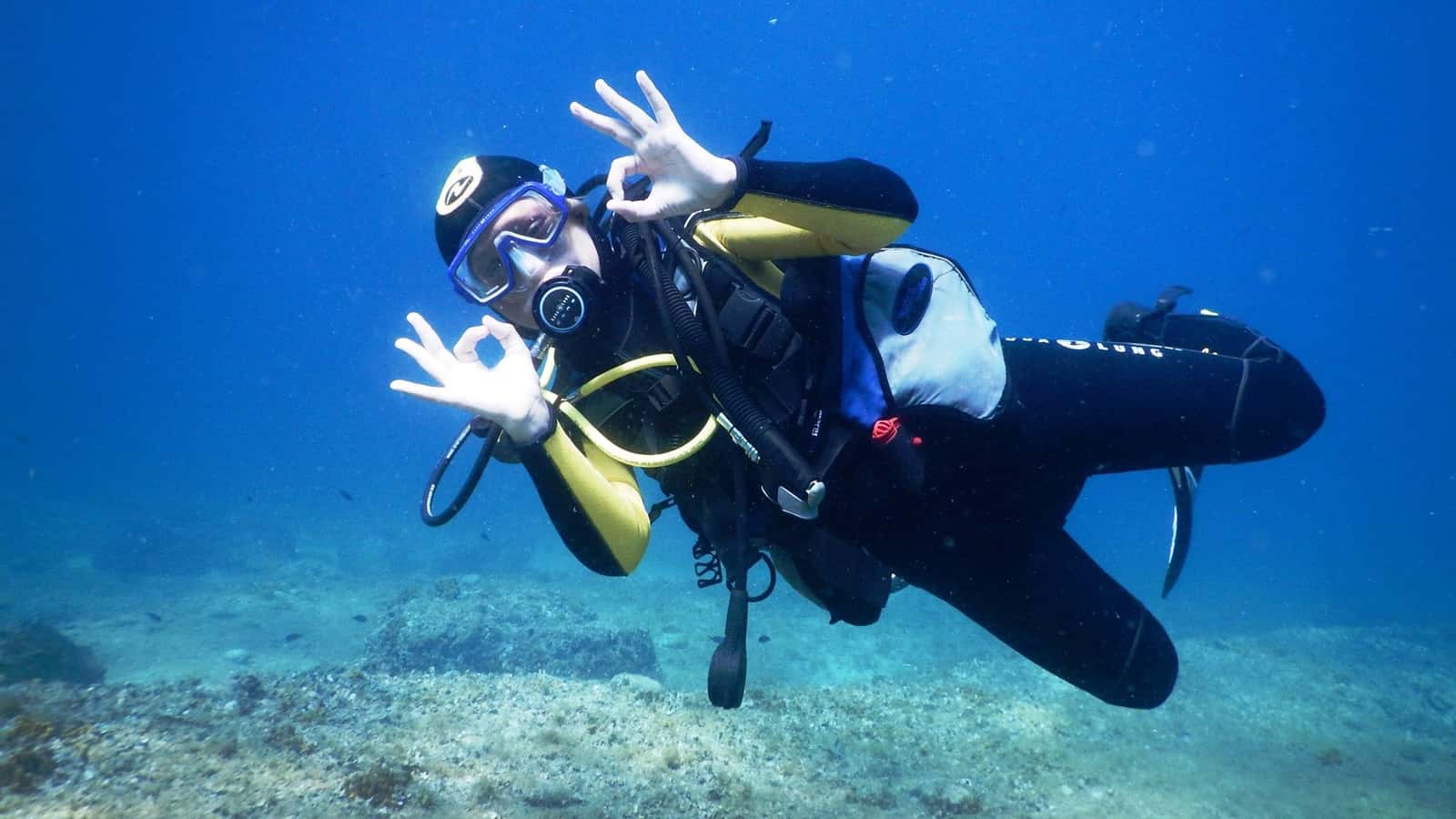 Caretta Diving — photo 3