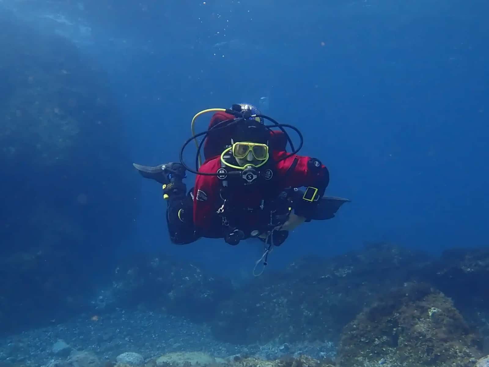 Dawn Dives