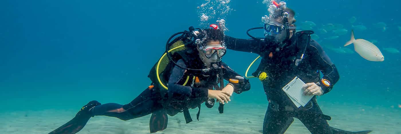 Dive College Lanzarote — photo 2