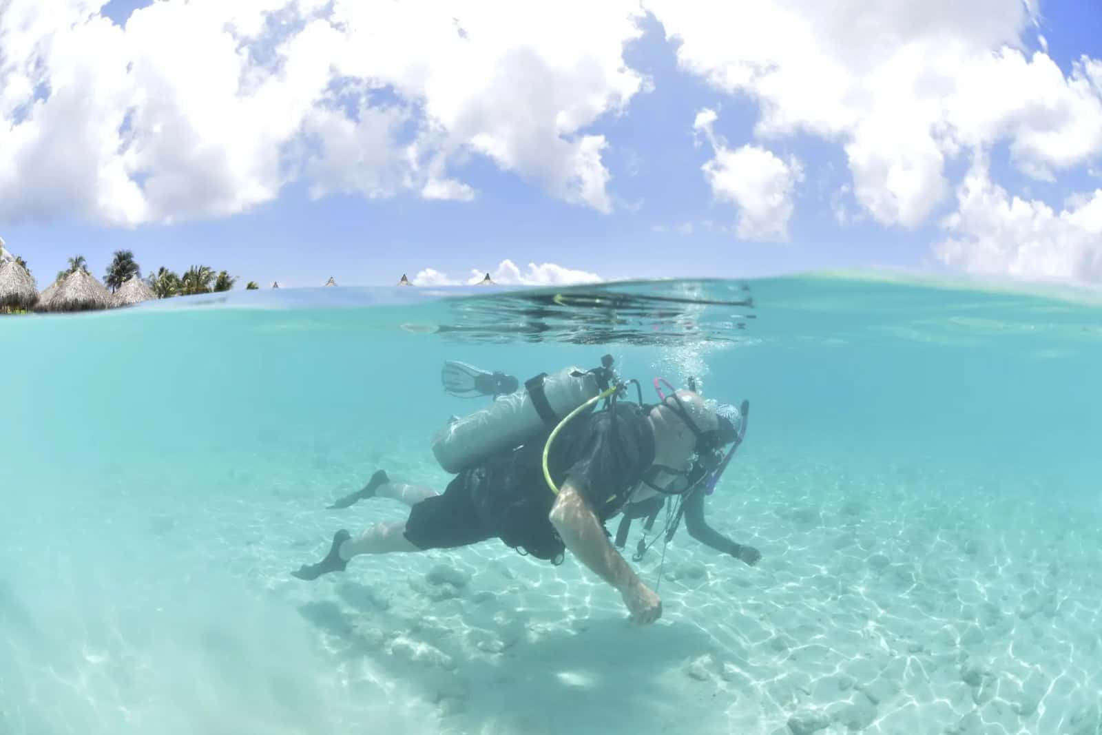 Blue Bay Dive