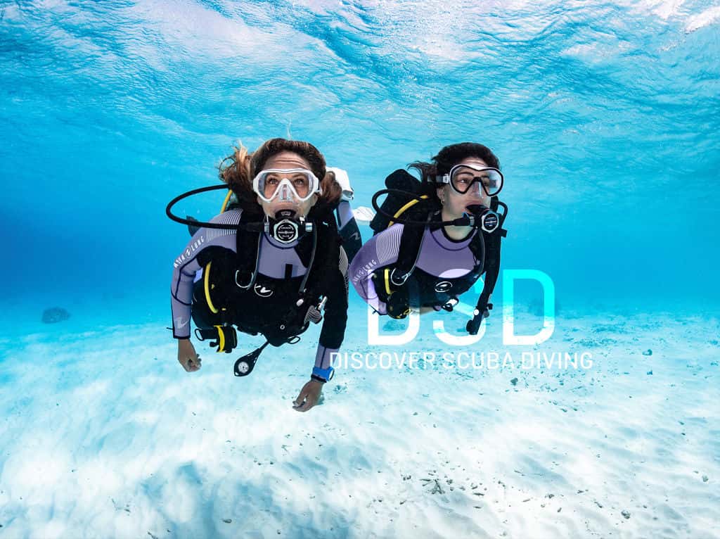 dive the Rock
