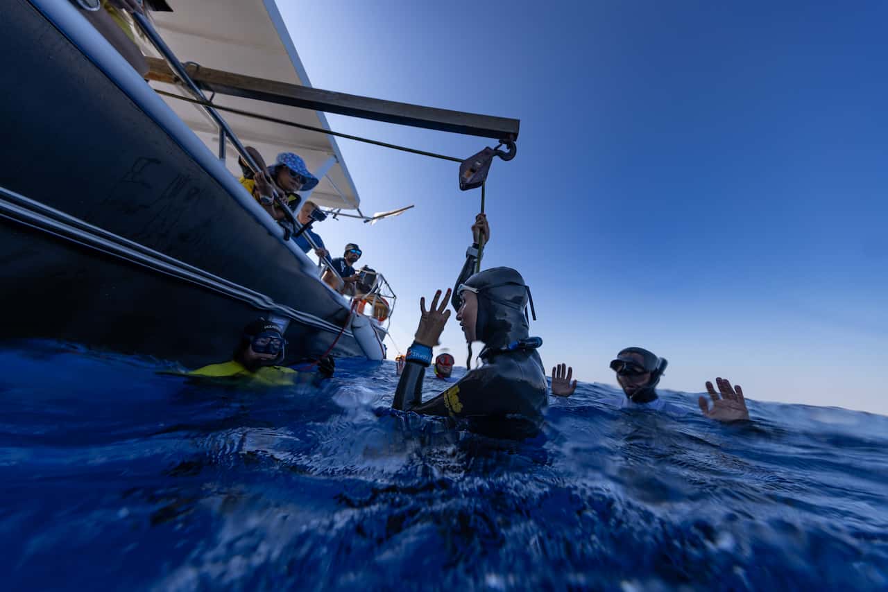 Freedom Diving Center