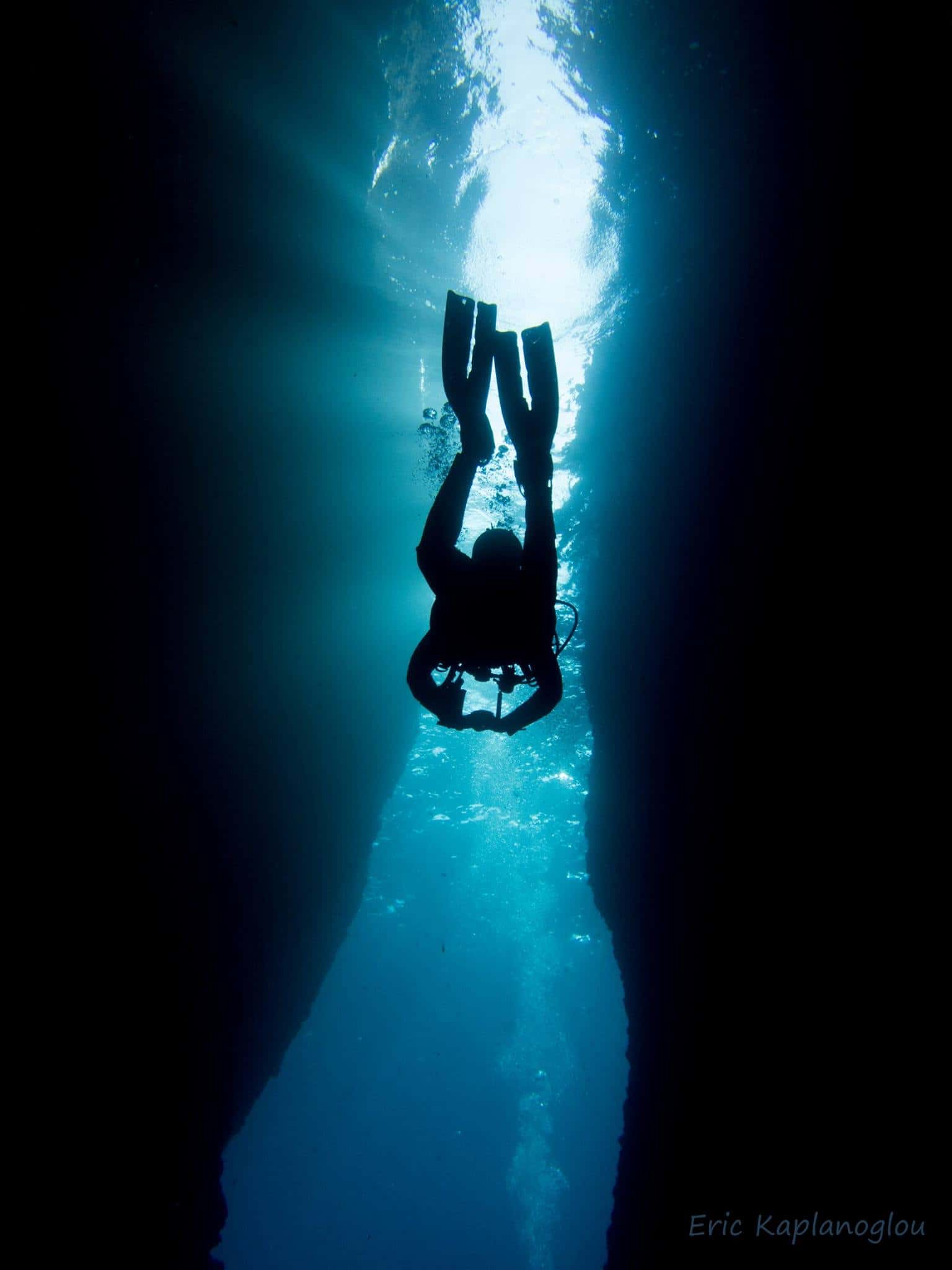 Diving Store — photo 3