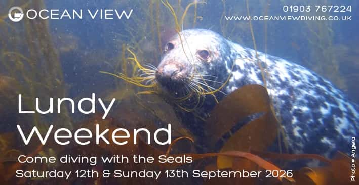 Ocean View Diving Services — photo 3