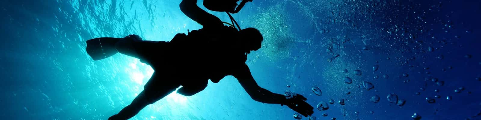 Plongée Guadeloupe - Réserve Cousteau