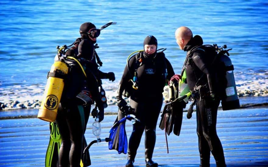 Portugal Dive — photo 2