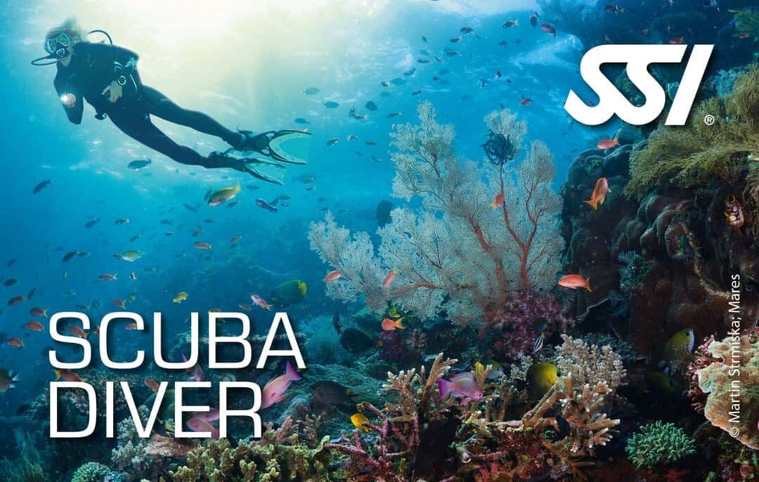 Poseidon Dive Centre