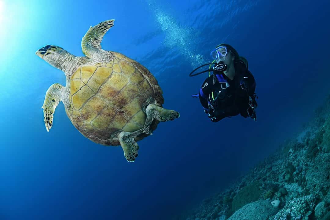Poseidon Dive Centre — photo 2