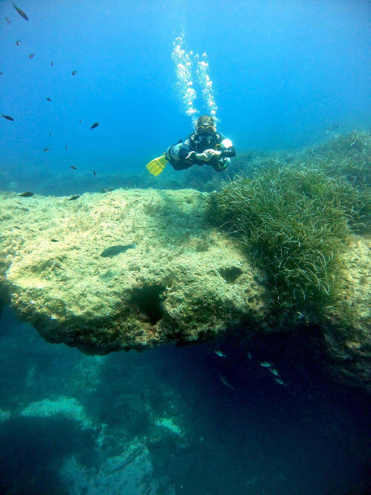 Scuba Life Malta — photo 4