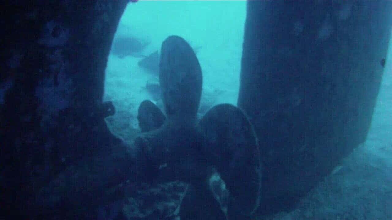 Scuba Life Malta — photo 3