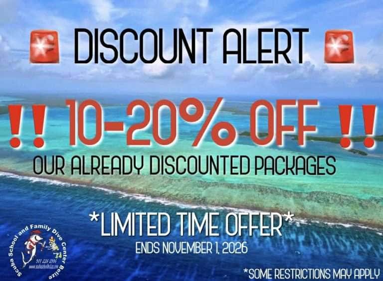 Scuba School and Family Dive Center Belize