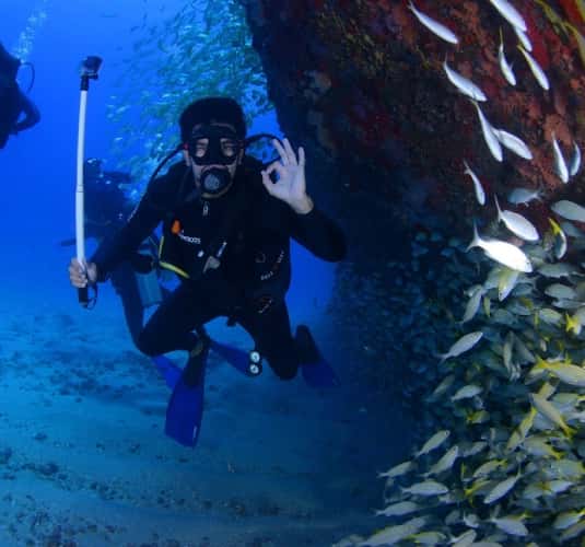 Scuba Shack AXA